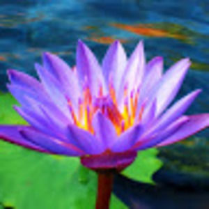 Meet your Posher, Mary